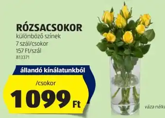 ALDI RÓZSACSOKOR 7db ajánlat