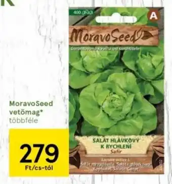 Tesco MoravoSeed vetőmag ajánlat