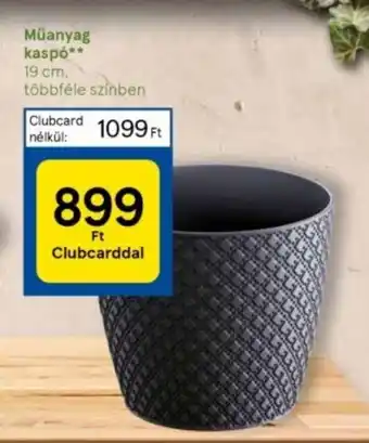 Tesco Műanyag kaspó 19cm ajánlat