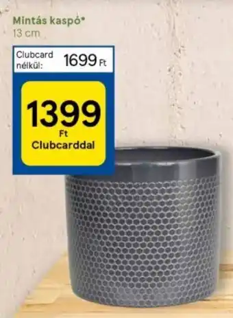 Tesco Mintás kaspó 13 cm ajánlat