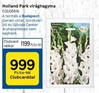 Tesco Holland Park virághagyma ajánlat