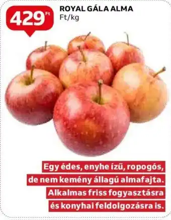 Auchan ROYAL GÁLA ALMA 1kg ajánlat