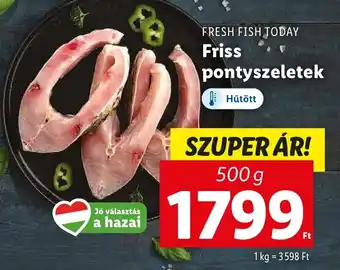 Lidl FRESH FISH TODAY Friss pontyszeletek 500g ajánlat