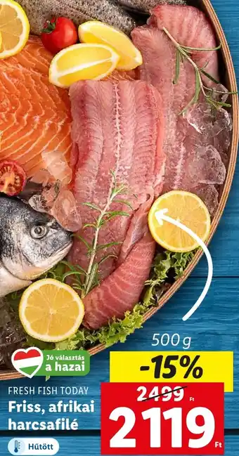 Lidl FRESH FISH TODAY Friss, afrikai harcsafilé 500g ajánlat
