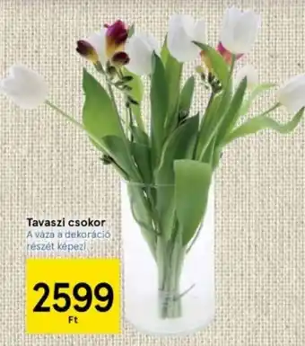 Tavaszi csokor