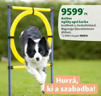 Fressnapf AniOne Agility ugró karika kezdőknek is, hordozótáskával. ajánlat