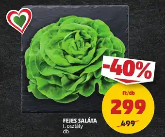 PENNY FEJES SALÁTA 1db ajánlat