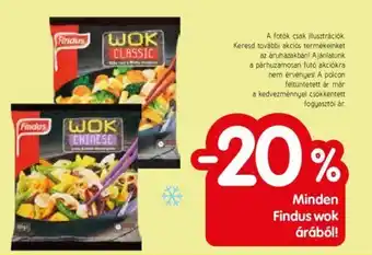 Minden Findus wok árából