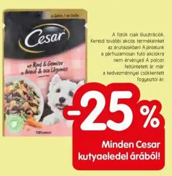 Spar Minden Cesar kutyaeledel árából ajánlat