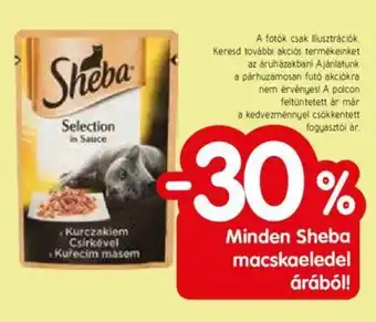 Minden Sheba macskaeledel árából