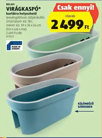 ALDI BELAVI VIRÁGKASPÓ ajánlat