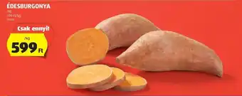 ALDI ÉDESBURGONYA 1kg ajánlat