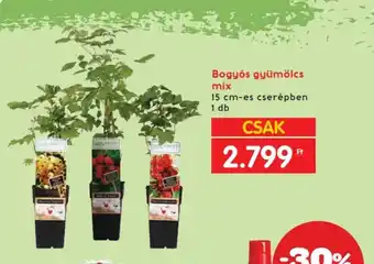 Spar Bogyós gyümölcs mix ajánlat