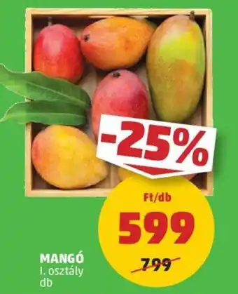 MANGÓ 1db