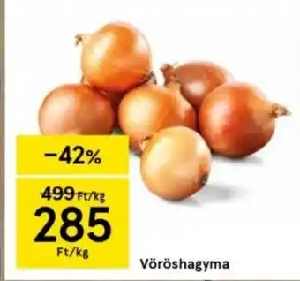 Vöröshagyma Ft/kg