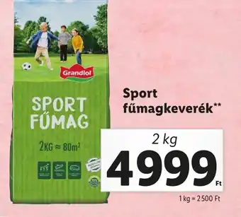 Lidl Sport fűmagkeverék 2 kg ajánlat