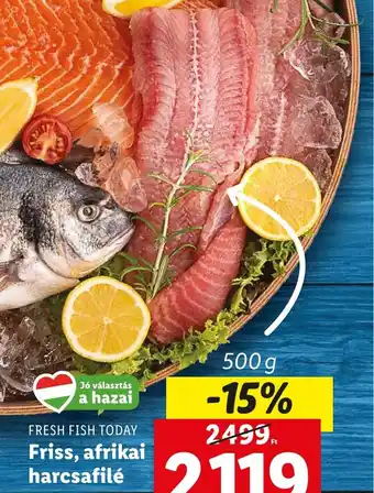 Lidl FRESH FISH TODAY Friss, afrikai harcsafilé 500g ajánlat