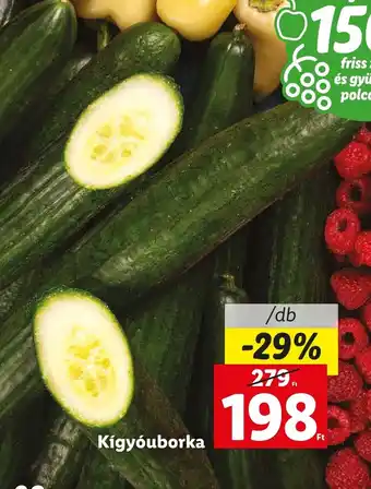 Lidl Kígyóuborka 1db ajánlat