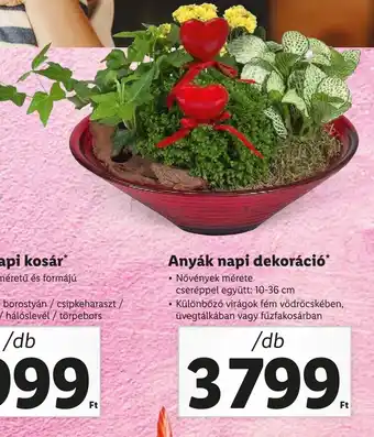 Lidl Anyák napi dekoráció 1db ajánlat