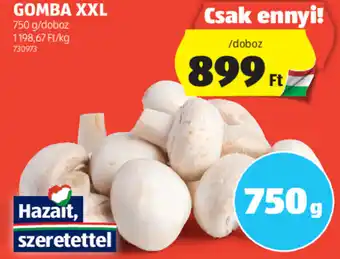 ALDI GOMBA XXL 750g ajánlat