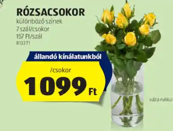 ALDI RÓZSACSOKOR ajánlat