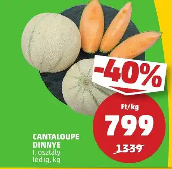 PENNY CANTALOUPE DINNYE ajánlat
