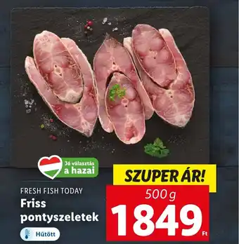 Lidl FRESH FISH TODAY Friss pontyszeletek 500g ajánlat