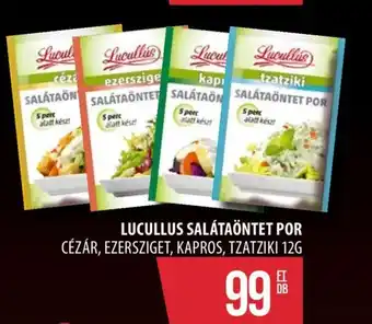 Coop LUCULLUS SALÁTAÖNTET POR 12g ajánlat