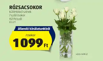 ALDI RÓZSACSOKOR 1 csokor ajánlat