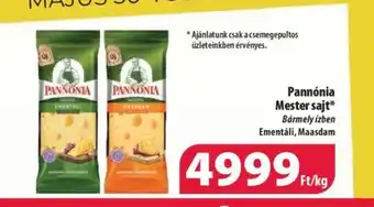 Pannónia Mester sajt 1kg