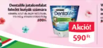 Dentalife jutalomfalat felnőtt kutyák számára