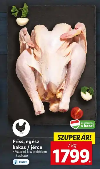 Lidl Friss, egész kakas/jérce 1kg ajánlat