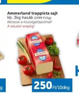 PRIVÁT Ammerland trappista sajt 10dkg ajánlat