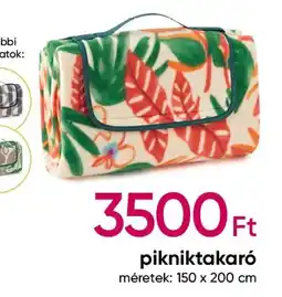Pikniktakaró