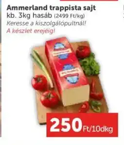 PRIVÁT Ammerland trappista sajt 10dkg ajánlat