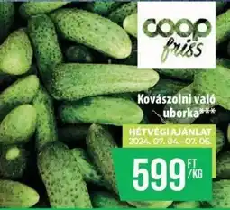 Coop Kovászolni való uborka 1kg ajánlat