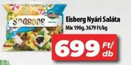 Coop Eisberg Nyári Saláta Mix 190g ajánlat