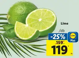 Lidl Lime ajánlat