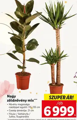 Lidl Nagy zöldnövény mix ajánlat