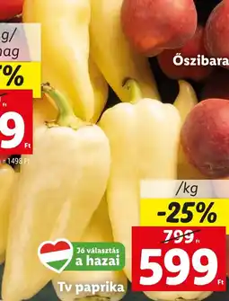 Lidl Tv paprika ajánlat