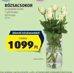 ALDI RÓZSACSOKOR 1csokor ajánlat