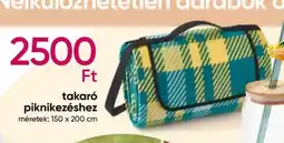 Pepco Takaró piknikezéshez ajánlat