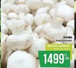 Coop Gomba 1kg ajánlat