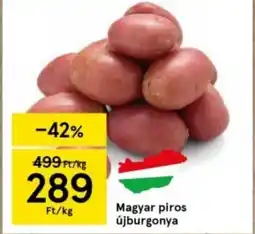 Tesco Magyar piros újburgonya 1kg ajánlat