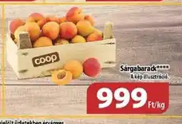 Sárgabarack 1kg
