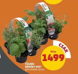 PENNY FŰSZER- NÖVÉNY MIX 1 csomag ajánlat