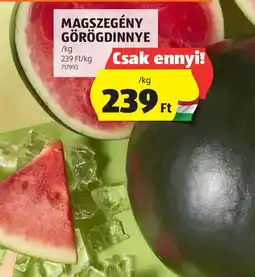 ALDI Magszégeny görögdinnye ajánlat