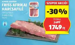ALDI Friss afrikai harcsafilé 500 g/talca ajánlat