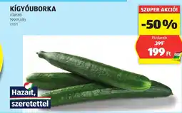 ALDI Kigyőuborka ajánlat
