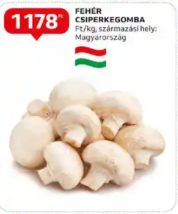 Auchan Fehér csiperkegomba ajánlat